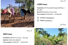 Ecologi-Planting-trees